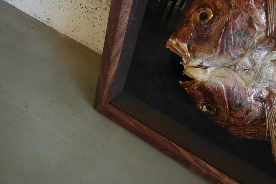 献上鯛を飾る無垢の木ブラックウォールナットの箱型の額縁の奥行きを感じ取れる拡大写真
